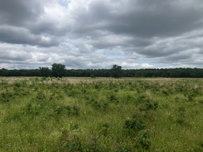25 +/- Acre Hobby Farm With Amazing Building Site - image 2