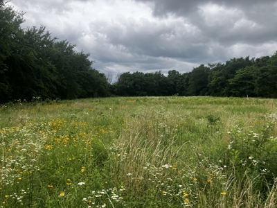 25 +/- Acre Hobby Farm With Amazing Building Site - image 7