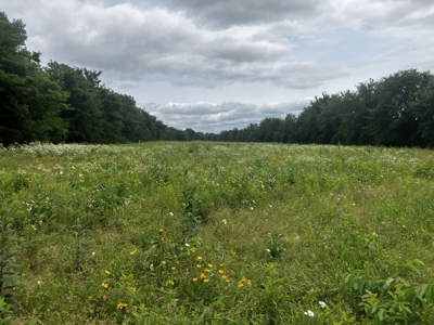 25 +/- Acre Hobby Farm With Amazing Building Site - image 8