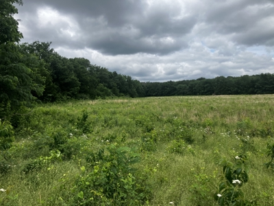 25 +/- Acre Hobby Farm With Amazing Building Site - image 6