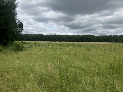 25 +/- Acre Hobby Farm With Amazing Building Site - image 5