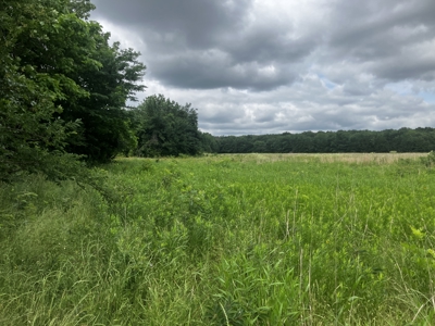 25 +/- Acre Hobby Farm With Amazing Building Site - image 3