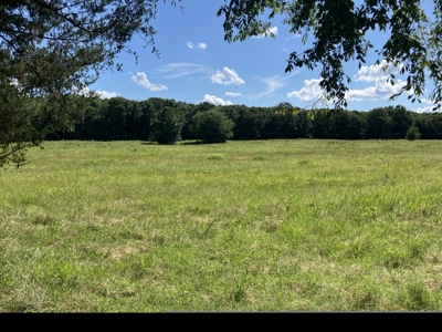 25 +/- Acre Hobby Farm With Amazing Building Site - image 1