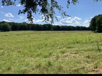Hobby farm with outstanding build site, pasture, ponds, utilities - image 1