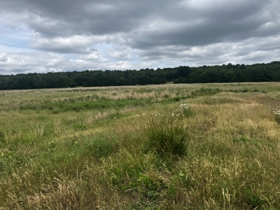 Hobby farm with outstanding build site, pasture, ponds, utilities - image 11
