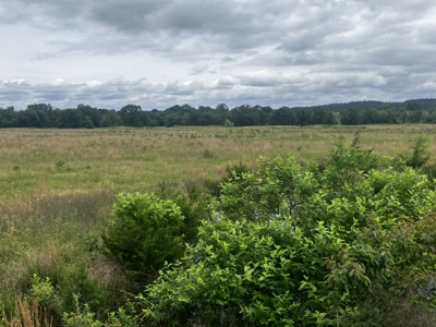 Hobby farm with outstanding build site, pasture, ponds, utilities - image 10