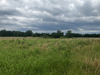 Hobby farm with outstanding build site, pasture, ponds, utilities - image 8