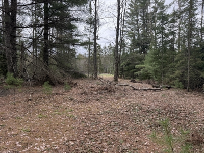 25+ Acres w/ Build Site + State Land Access – Hunt & Build in One - image 6