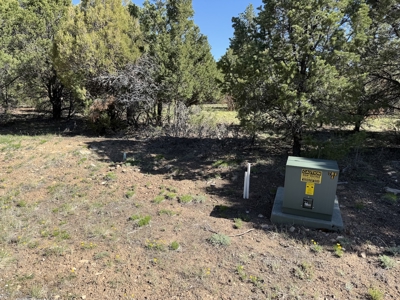 Premier 2-Acre Build-Ready Estate Lot at Divide Ranch For Sale - image 4