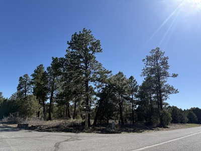 Premier 2-Acre Build-Ready Estate Lot at Divide Ranch For Sale - image 5
