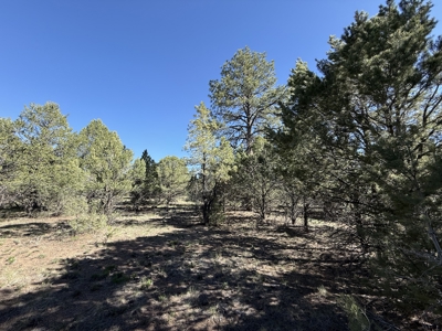 Premier 2-Acre Build-Ready Estate Lot at Divide Ranch For Sale - image 6