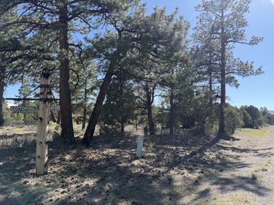 Premier 2-Acre Build-Ready Estate Lot at Divide Ranch For Sale - image 3