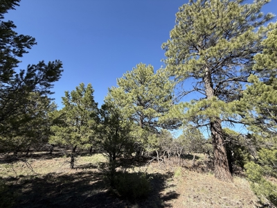 Premier 2-Acre Build-Ready Estate Lot at Divide Ranch For Sale - image 7