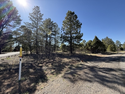 Premier 2-Acre Build-Ready Estate Lot at Divide Ranch For Sale - image 8