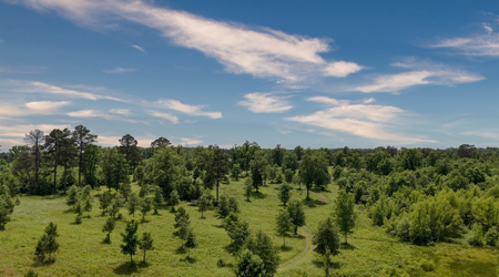129 Acres Turn-Key Hunting Paradise for Sale in Texas For Sale - image 24