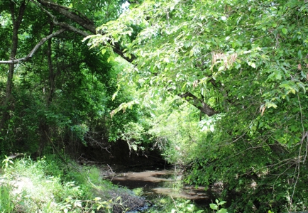 129 Acres Turn-Key Hunting Paradise for Sale in Texas For Sale - image 27