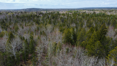 7.10 Acre Surveyed Lot - East Machias, Maine - image 17