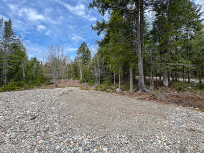 7.10 Acre Surveyed Lot - East Machias, Maine - image 3