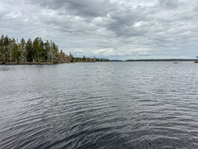 7.10 Acre Surveyed Lot - East Machias, Maine - image 8