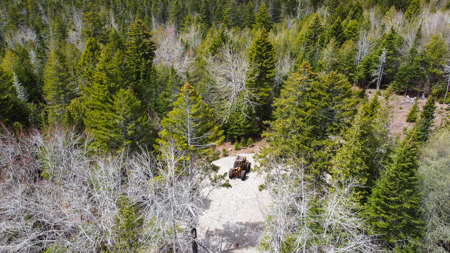 7.10 Acre Surveyed Lot - East Machias, Maine - image 12