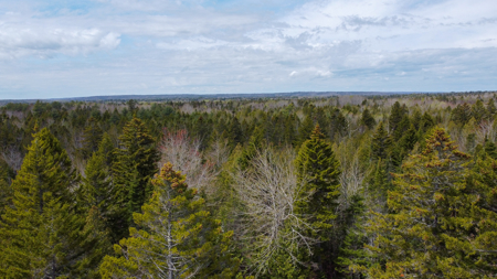 7.10 Acre Surveyed Lot - East Machias, Maine - image 15