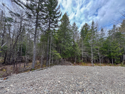 7.10 Acre Surveyed Lot - East Machias, Maine - image 2