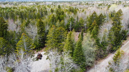 7.10 Acre Surveyed Lot - East Machias, Maine - image 14