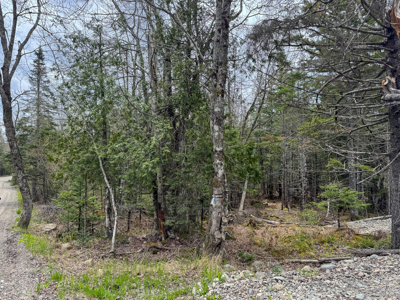 7.10 Acre Surveyed Lot - East Machias, Maine - image 5