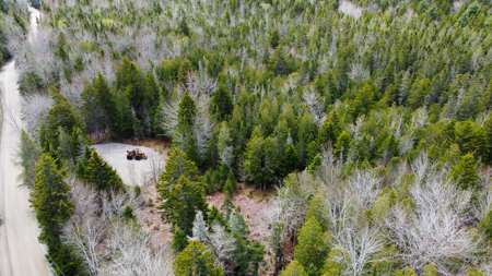 7.10 Acre Surveyed Lot - East Machias, Maine - image 13