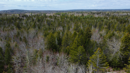 7.10 Acre Surveyed Lot - East Machias, Maine - image 16