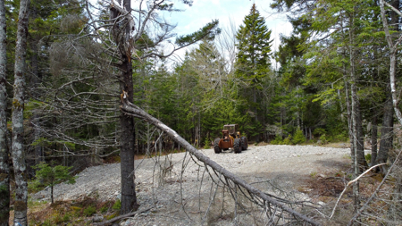 7.10 Acre Surveyed Lot - East Machias, Maine - image 11