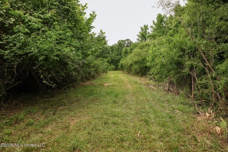 Land for Sale in Amite County, MS - image 44