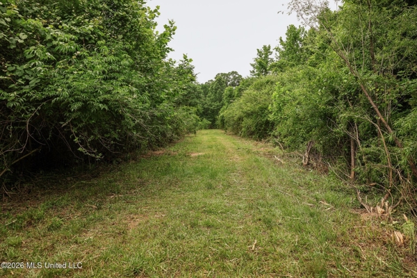Land for Sale in Amite County, MS
