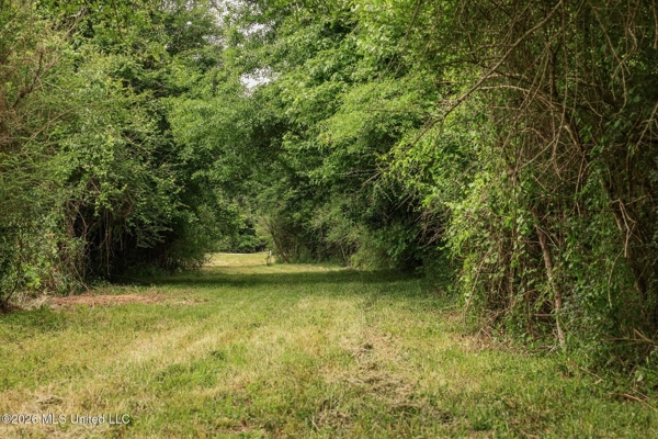 Land for Sale in Amite County, MS
