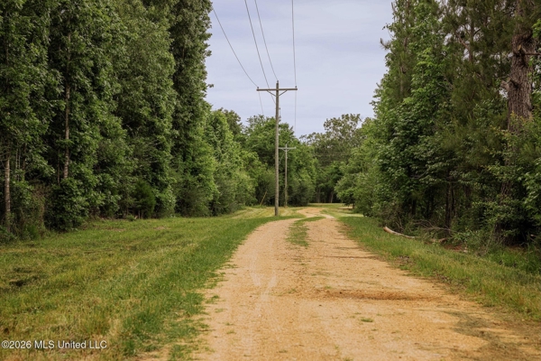 Land for Sale in Amite County, MS