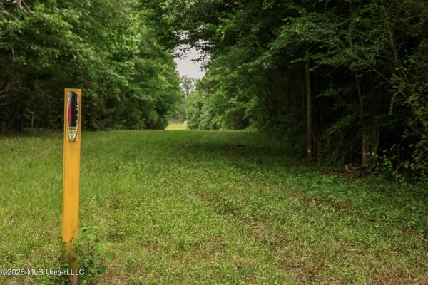 Land for Sale in Amite County, MS