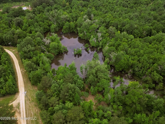 Land for Sale in Amite County, MS