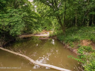 Land for Sale in Amite County, MS - image 32