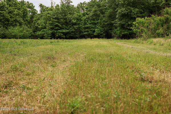Land for Sale in Amite County, MS