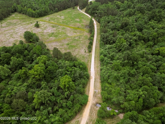 Land for Sale in Amite County, MS