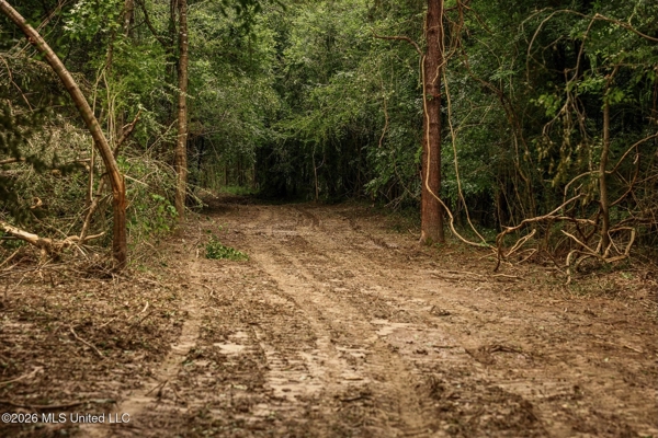 Land for Sale in Amite County, MS