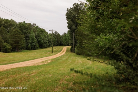 Land for Sale in Amite County, MS - image 17