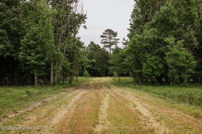 Listing 81