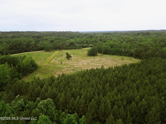 Land for Sale in Amite County, MS