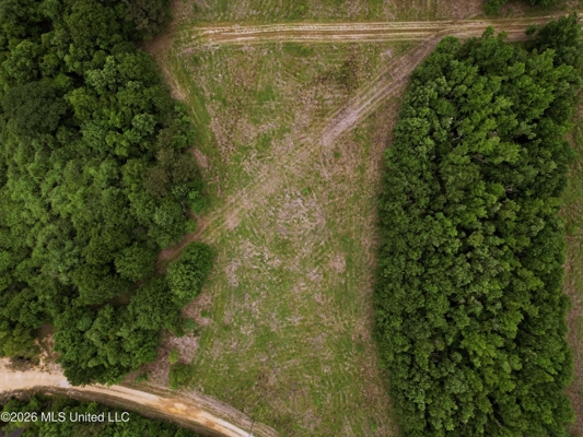 Land for Sale in Amite County, MS