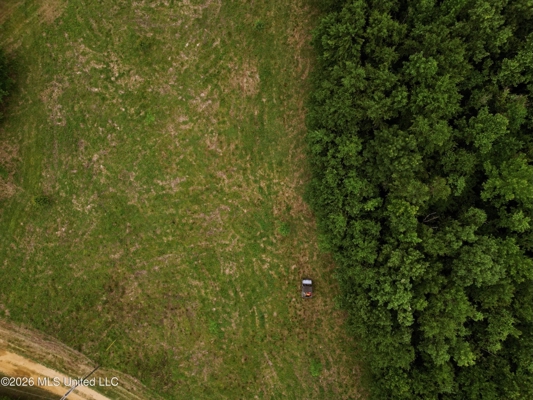 Land for Sale in Amite County, MS