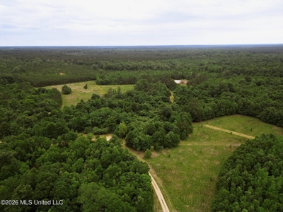 Land for Sale in Amite County, MS - image 28