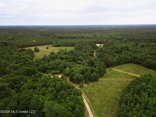 Land for Sale in Amite County, MS