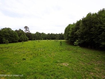 Listing 81