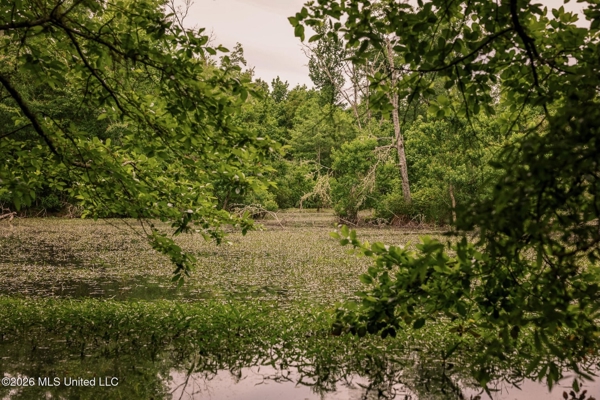 Land for Sale in Amite County, MS